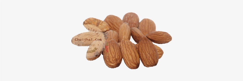 Almonds Kath Badam Web - Pecan, transparent png download
