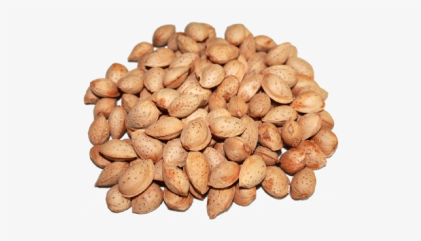 Pista Badam Price, transparent png download