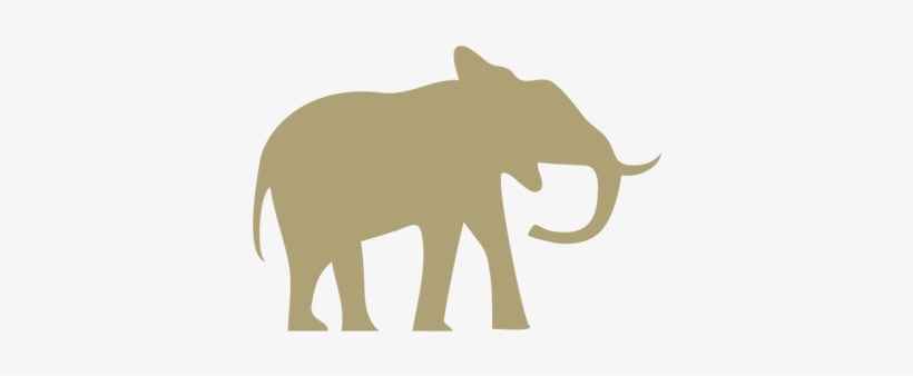 Kerala Wildlife Tours - Endangered Species, transparent png download