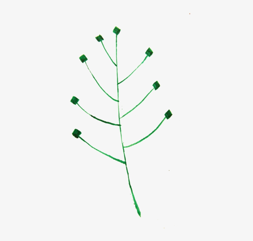 Leaf Computer Icons Calligraphy Tree Plant Stem - Christmas Tree, transparent png download