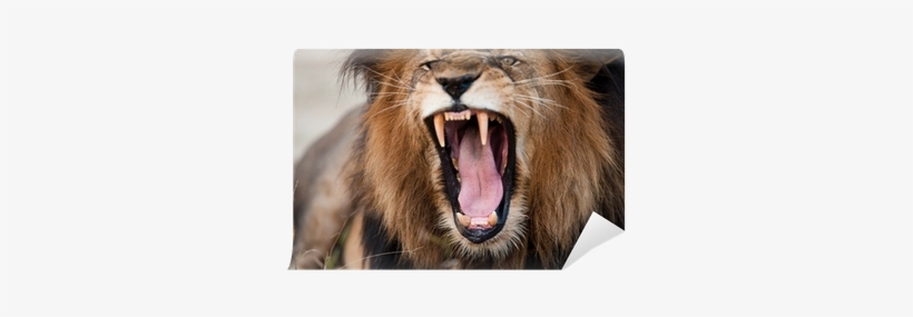 Satan: His Motive And Methods, transparent png download