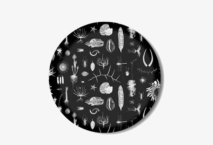Natural Curiosities Serving Tray - Circle, transparent png download