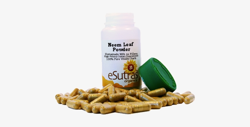 Various Parts Of The Neem Tree Have Been Used As Traditional - Single Cell Protein Products, transparent png download