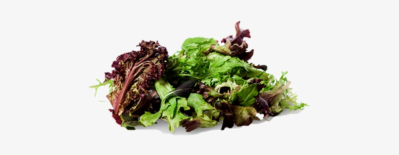 Fruits, Vegetables, Herbs And Spices - Vegetable, transparent png download