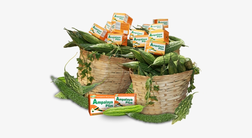 Ampalaya With Plus Basket - Ampalaya Basket, transparent png download