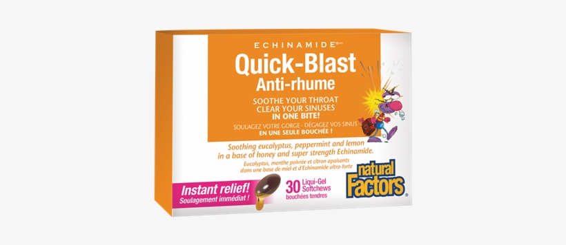 Echinamide® Quick-blast Liqu - Natural Factors Echinamide Quick Blast, transparent png download