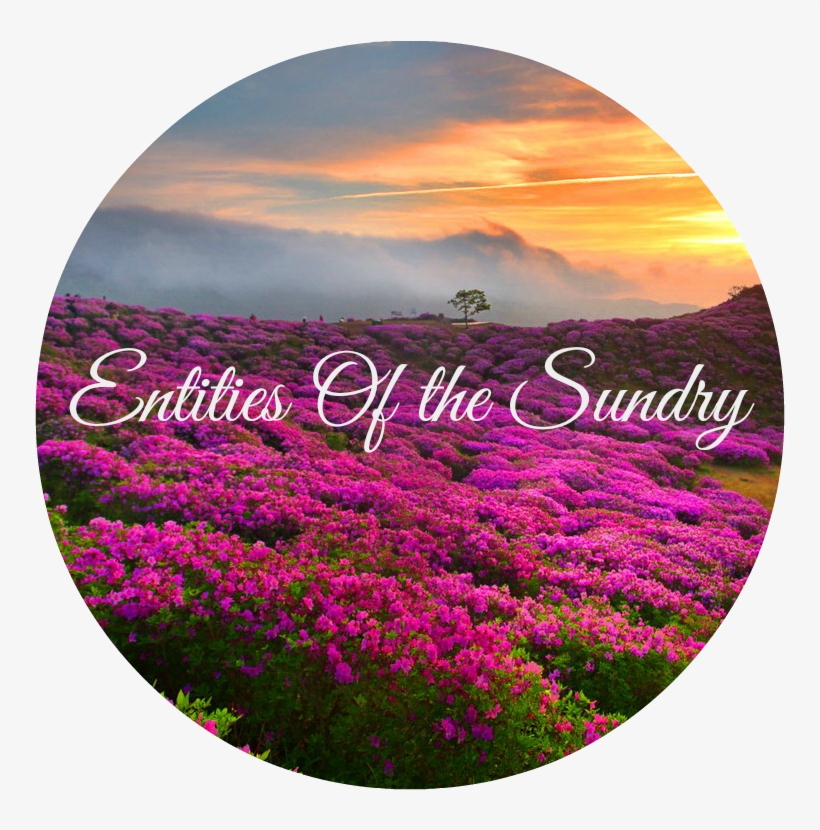 Fiery Sunset Flowers Mountain Lovely Meadow Hd Wal - Sunset, transparent png download