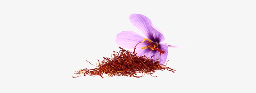Saffron Flower Side View - Vaadi Herbals Shower Gel, Luxurious Saffron, 300 Ml, transparent png download