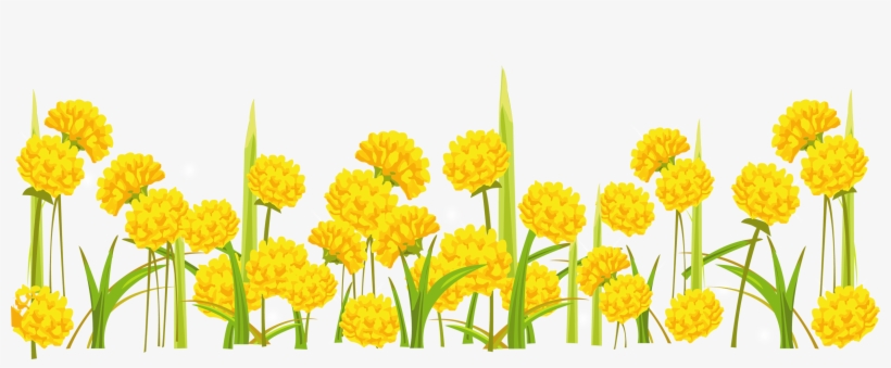 Dandelion Clipart Transparent Background - Transparent Background Yellow Flower Clipart Transparent, transparent png download