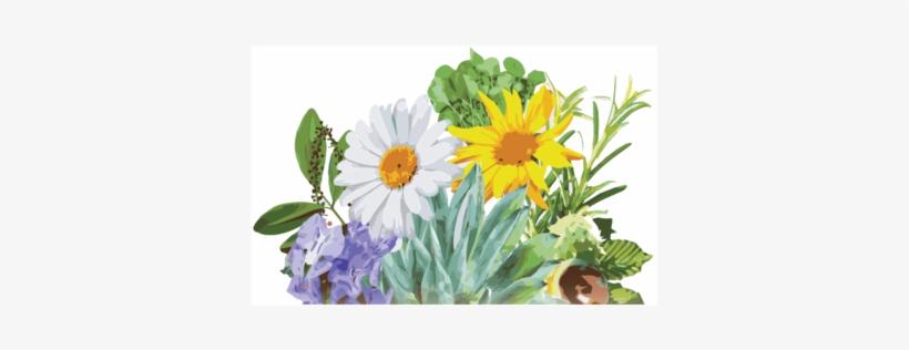 About Us - Flower, transparent png download
