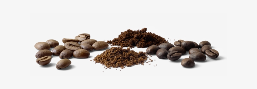 Today We Can Offer Our Customers Over 120 Different - Grains De Café Png, transparent png download