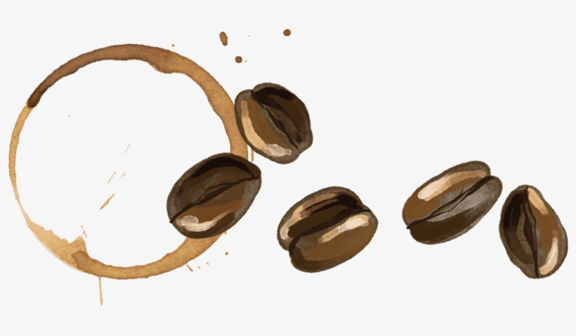 Coffee Bean Stain - Stain, transparent png download