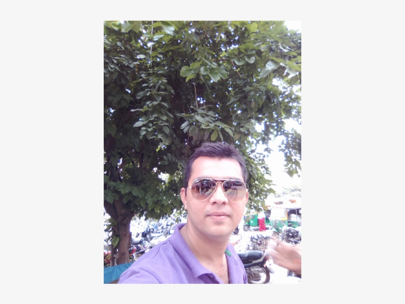 Himanshu Jayendrabhai Gajjar - Tree, transparent png download