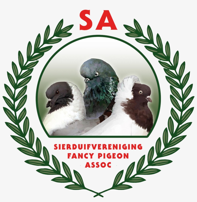 Welcome To The South African Fancy Pigeon Association - Shanghai, transparent png download