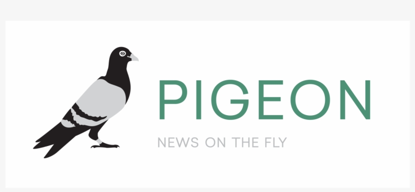 App Design - - Eurasian Magpie, transparent png download