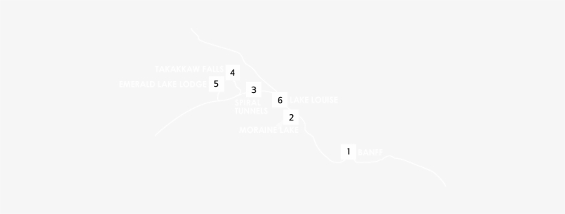 Map Image - Bird, transparent png download