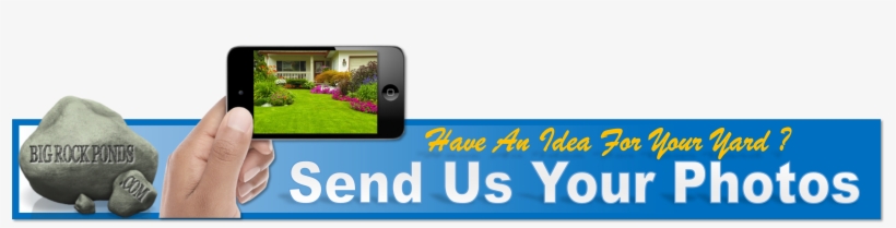 Picture - Triumph Plant 60036 Flash Patc, transparent png download