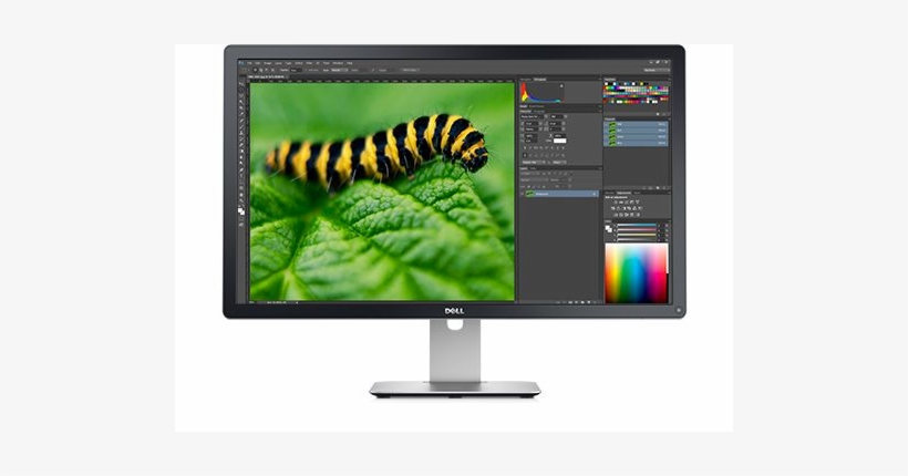 Dell Up3216q Monitor - Dell Ultrasharp 32 Ultra Hd 4k Monitor Up3216q, transparent png download