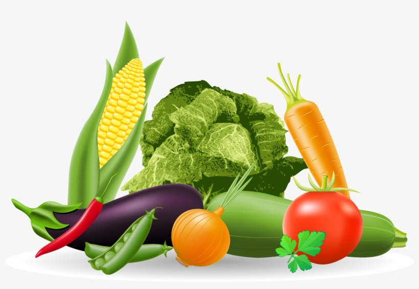 Vegetable Royalty Free Illustration Royaltyfree Transprent - Royalty Free Food Png, transparent png download