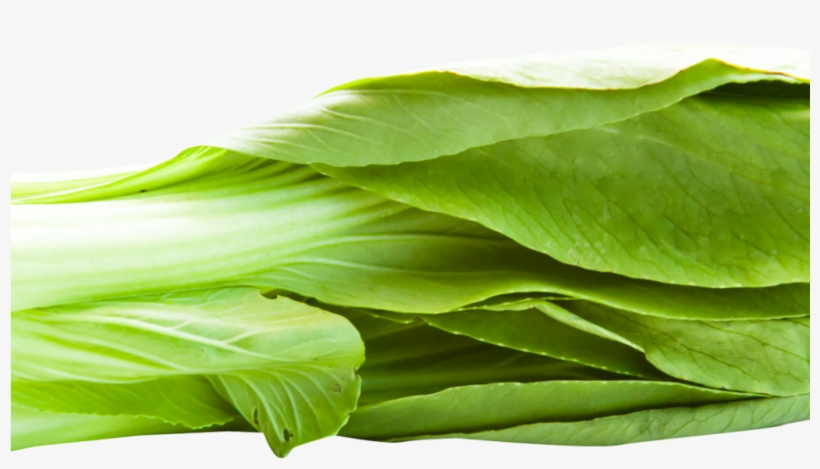 Png Image Transparent Best Stock Photos - Bok Choy No Background, transparent png download