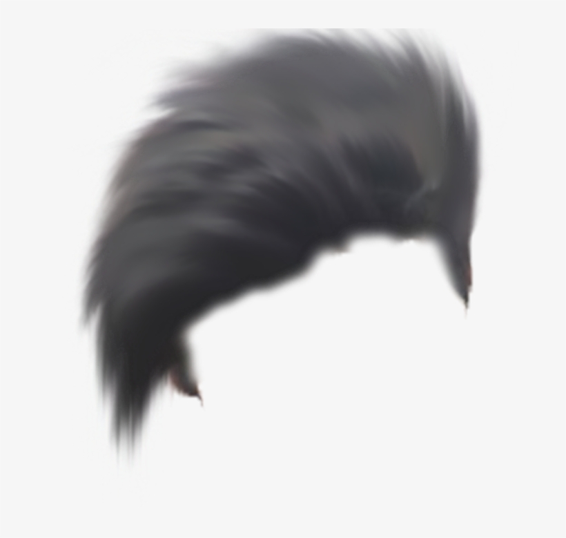 Ganesh Chaturthi Special Editing In Picsart Ganpati - American Crow, transparent png download