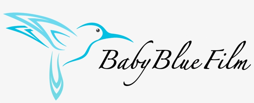 Baby Blue Film - Colibri Bird Vector, transparent png download