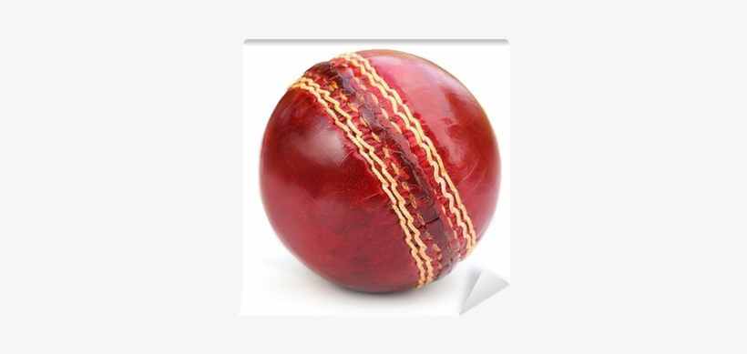 Cricket Ball Over White Background Wall Mural • Pixers® - Seam Ball, transparent png download