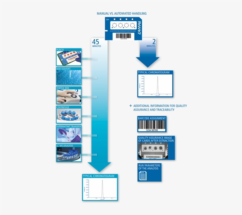 Advantages Of Automated Handling - Electric Blue, transparent png download