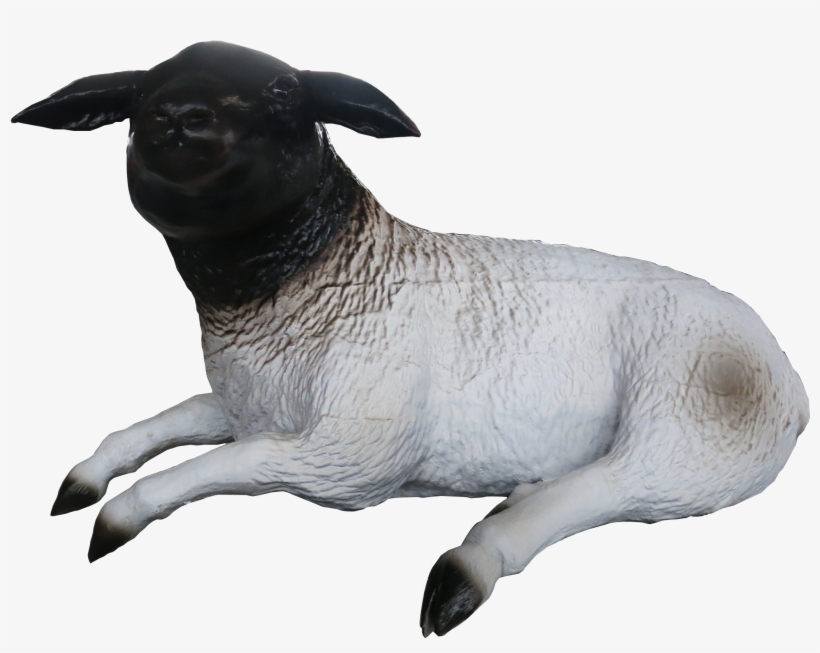 Handmade Sheep - Sheep, transparent png download