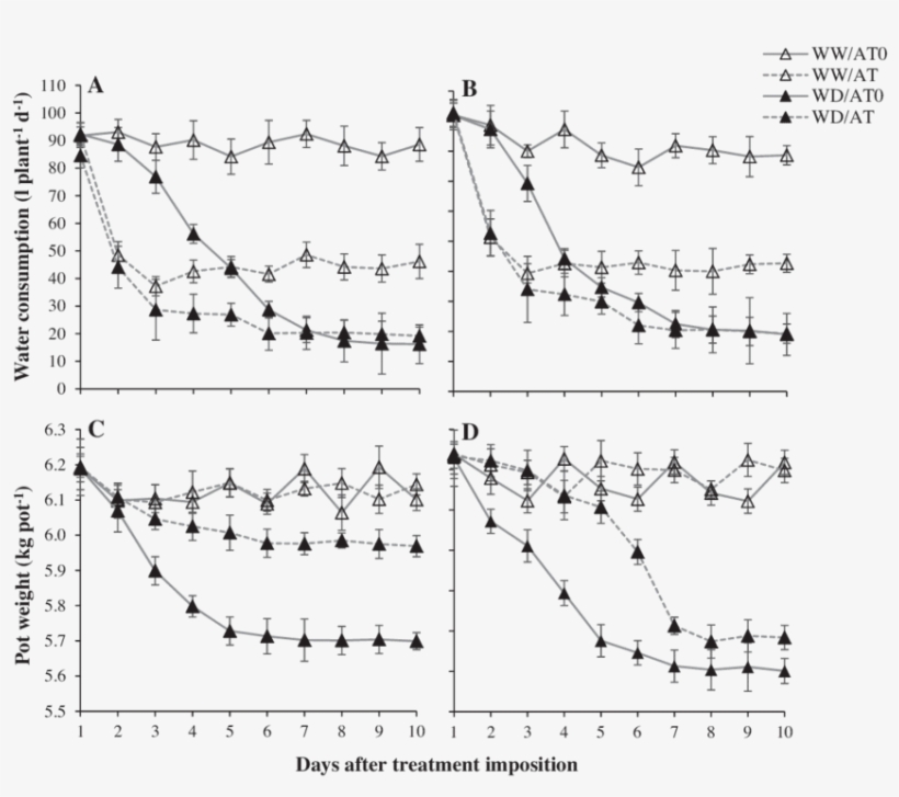 Daily Water Consumption And Pot Weight (c And D) Of - Diagram, transparent png download