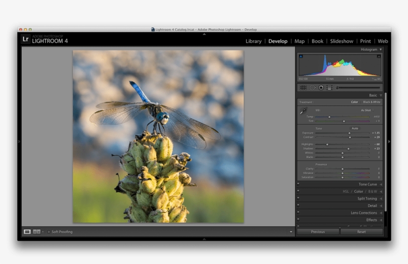 The Black And White Sliders Will Have An Effect On - Shadow Tint Lightroom, transparent png download