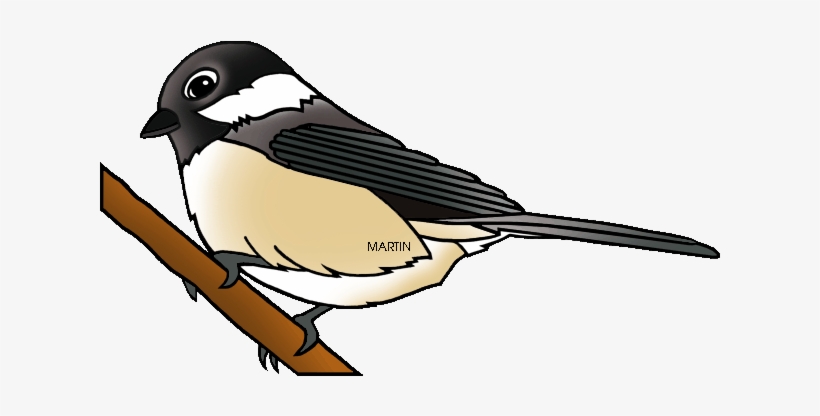 United States Clip Art By Phillip Martin, Massachusetts - Black Capped Chickadee Clipart, transparent png download