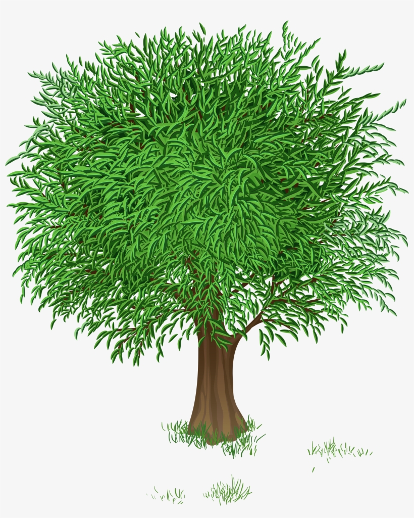 0, - Tree Flower Clip Art, transparent png download