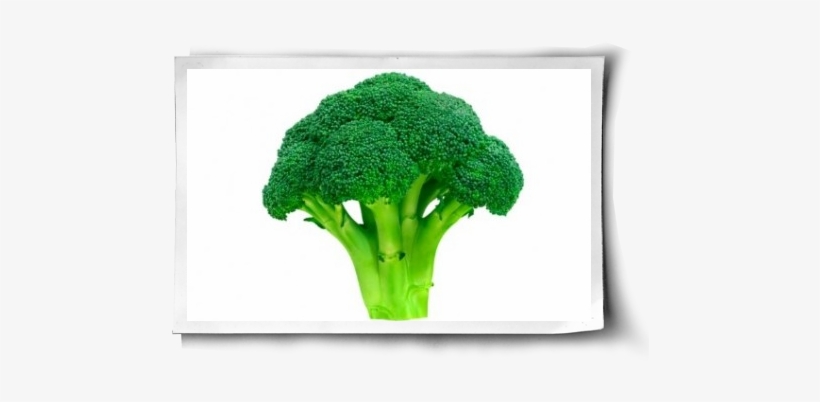 Green - - Fruits And Vegetables Color Green, transparent png download