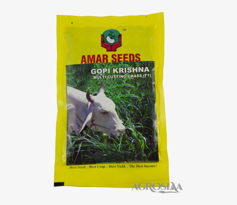 Gopi - Seed, transparent png download