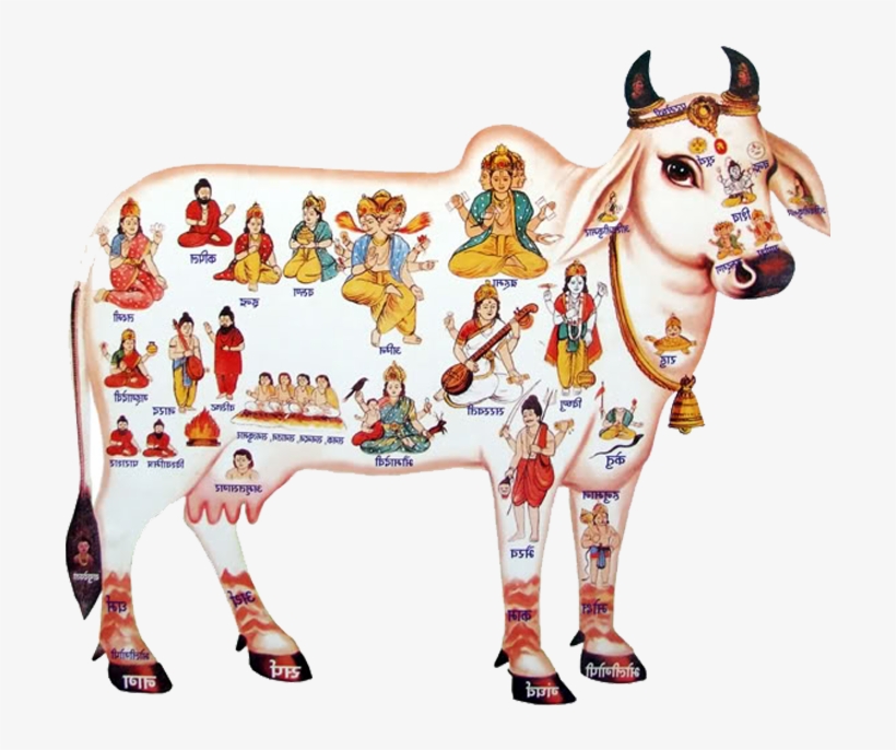 Avendor Counters - Hindu Dharma Parirakshana Trust Logo, transparent png download