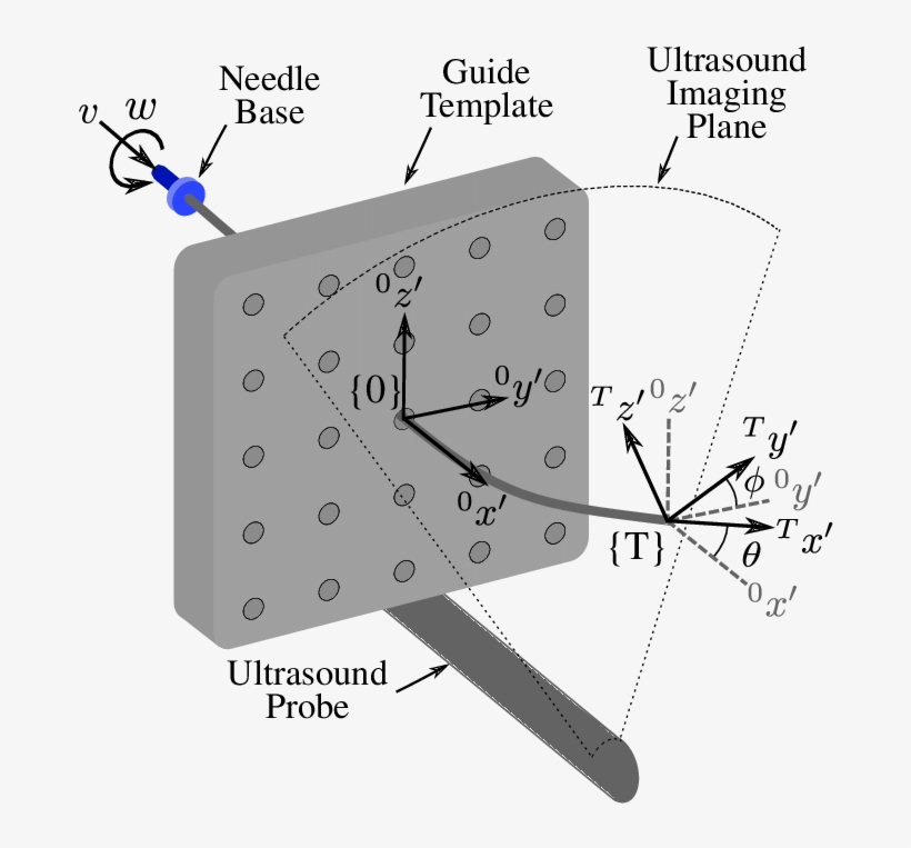 Coordinate System Used For Kinematic Bicycle Model, - Needle Base, transparent png download