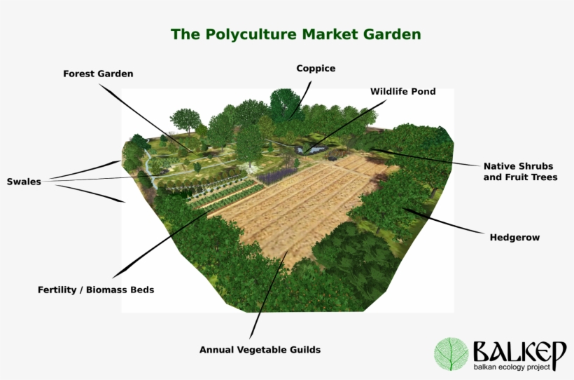 Encouraged From Results We Have Been Seeing In Our - Polyculture Garden, transparent png download