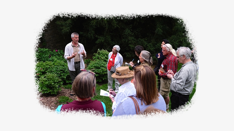 Support The Arboretum - Tree, transparent png download