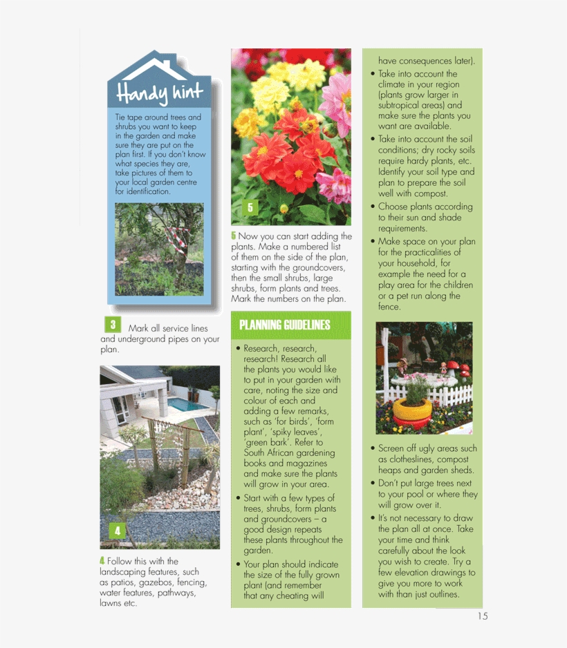 Designing Your Garden2 - Japanese Camellia, transparent png download