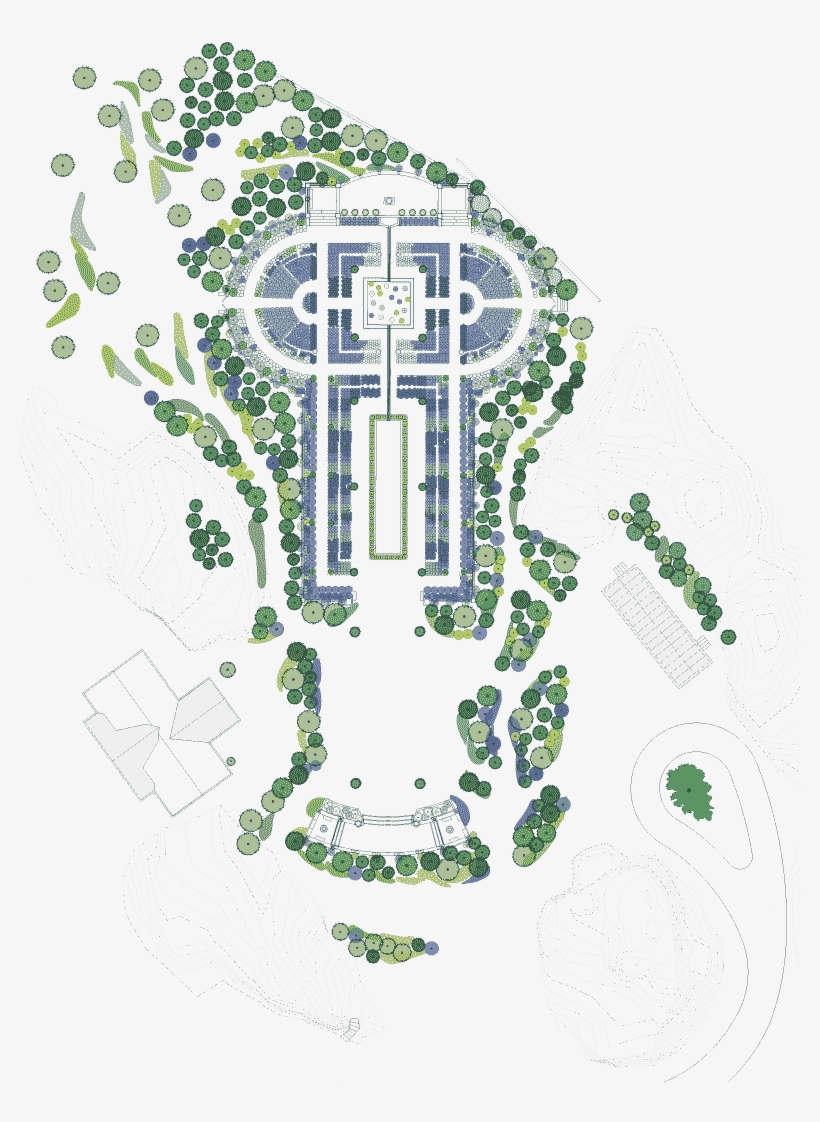 Plant Name Cultivar Common - Illustration, transparent png download