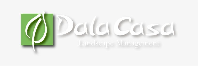 Lawn Care & Landscaping Services - Calligraphy, transparent png download