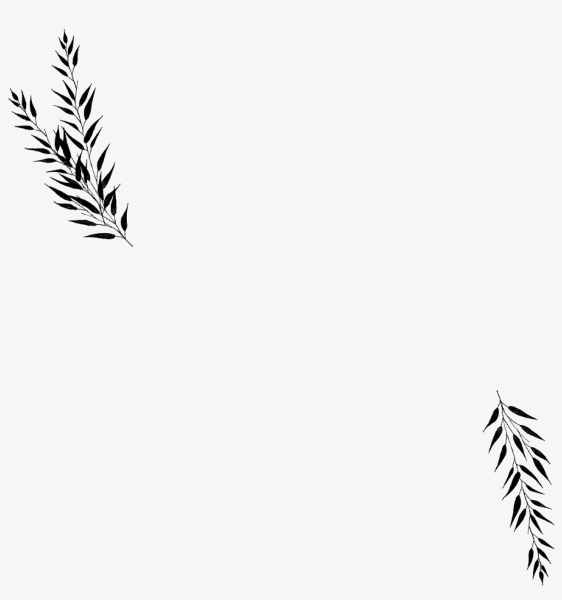 Get Inspired See Our Favorite Photographs In One Place - Wedding Lines Png, transparent png download