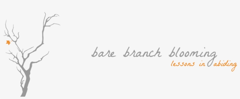 Bare Branch Blooming - Blooming May, transparent png download