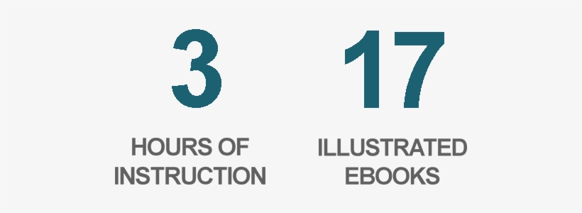 Numbers - Number, transparent png download