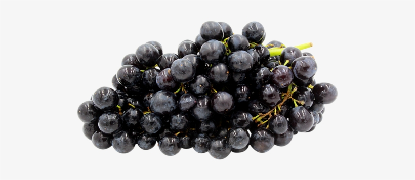 Black Grapes - Fresh Produce Black Seedless Grapes, 2 Lb, transparent png download