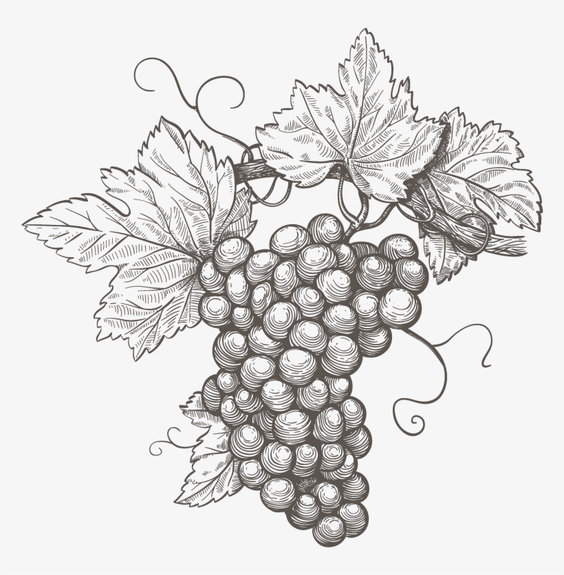 Essentials - Maggie Beer Paste Cabernet 100g, transparent png download