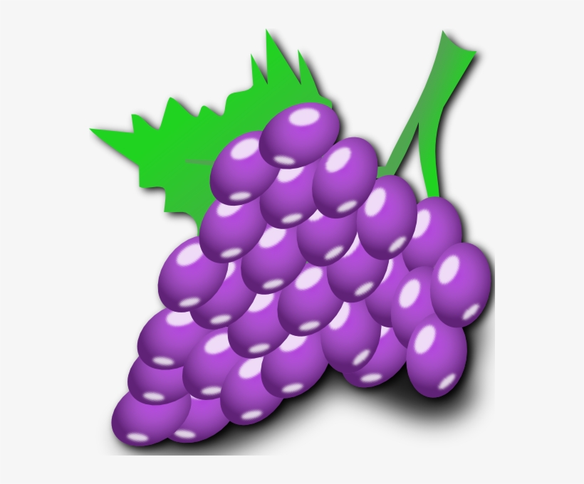 Black And White Vine Clip Art - Grapes Clip Art Png, transparent png download