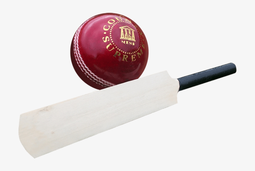 Cricket, transparent png download