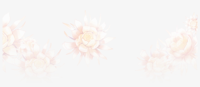 Background Flowers - ミラクル ニキ ロゴ, transparent png download